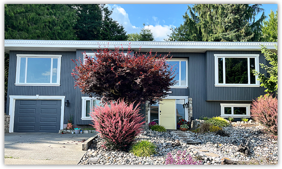 Painting Services Services